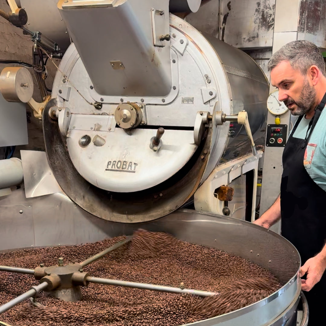 Kaffeebohnen an der Pflanze